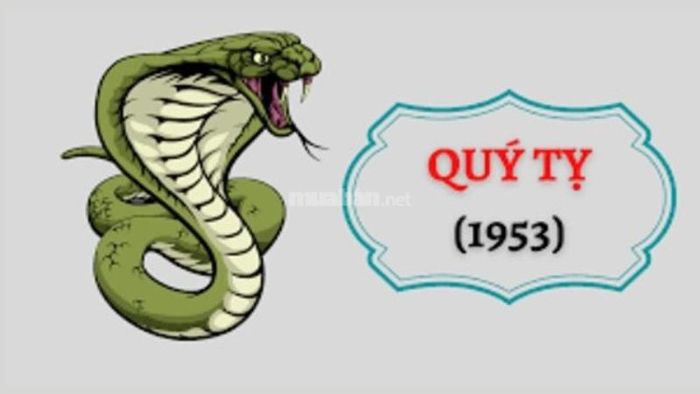 Khám phá chi tiết tử vi năm 2025 của nữ tuổi Quý Tỵ 1953
