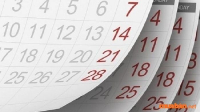 Xem thông tin về các giờ tốt, xấu trong ngày Tiểu Hàn 2024