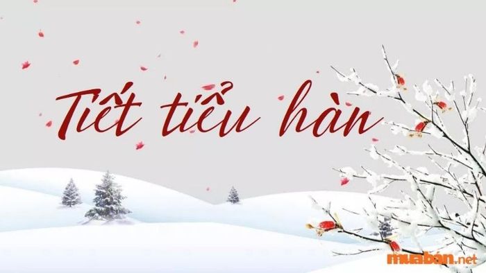 Tiểu Hàn là một tiết khí quan trọng, vậy Tiết Tiểu Hàn 2024 sẽ diễn ra vào ngày nào?