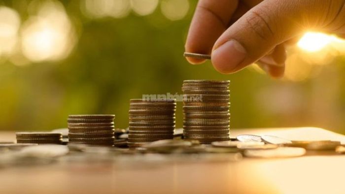 Phân tích chi tiết về phương diện tài chính của nữ Quý Tỵ 1953 trong năm 2025
