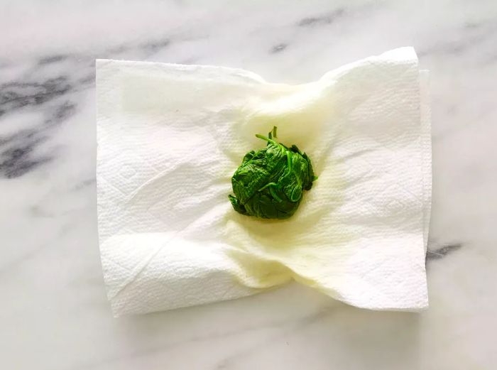 A small bundle of baby spinach resting on damp paper towels