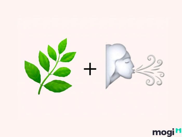 Cung Khí gồm những cung nào?