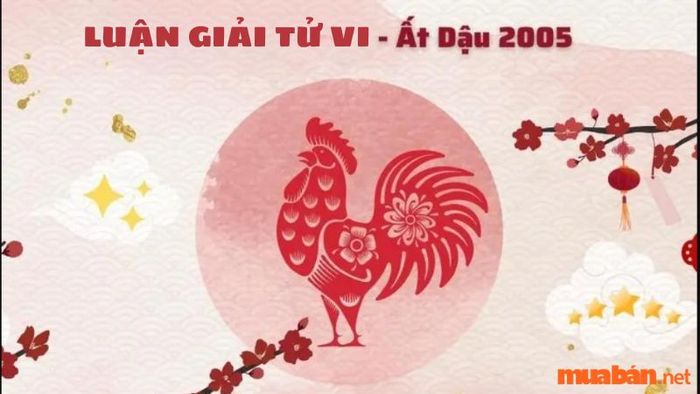 Phân tích lá số tử vi cho nữ mạng Ất Dậu 2005 theo từng tháng trong năm 2024