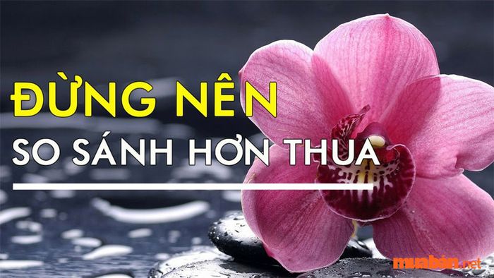 Tử vi Giáp Thân 2004 nam mạng năm 2024, mệnh chủ nên tránh việc tranh cãi hoặc so đo, hãy kiên nhẫn và nhường nhịn khi cần thiết.