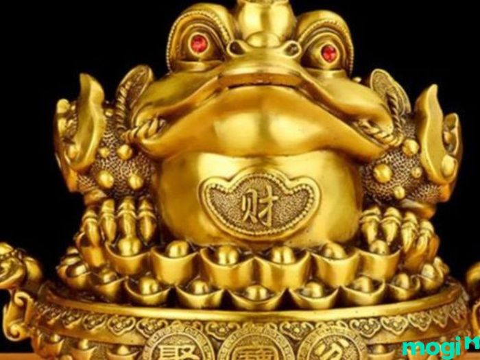 Người mệnh Kim nên chọn Kim Thiềm có màu xám bạc hoặc vàng ánh kim.