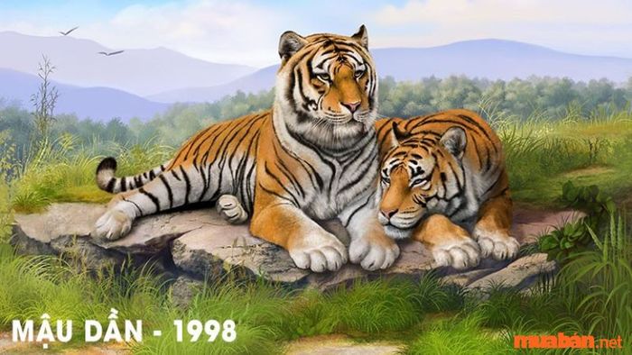 Hướng nhà hợp với tuổi Mậu Dần 1998 để gia đình gặp may mắn và tài lộc