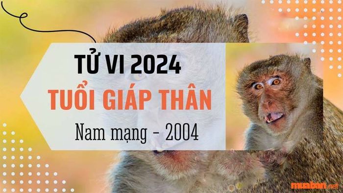 Những điểm đặc biệt trong tử vi Giáp Thân 2004 nam mạng năm 2024