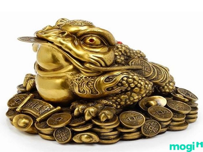 Những điều cần tránh khi đặt Kim Thiềm trong nhà để không làm ảnh hưởng đến phong thủy gia đình.