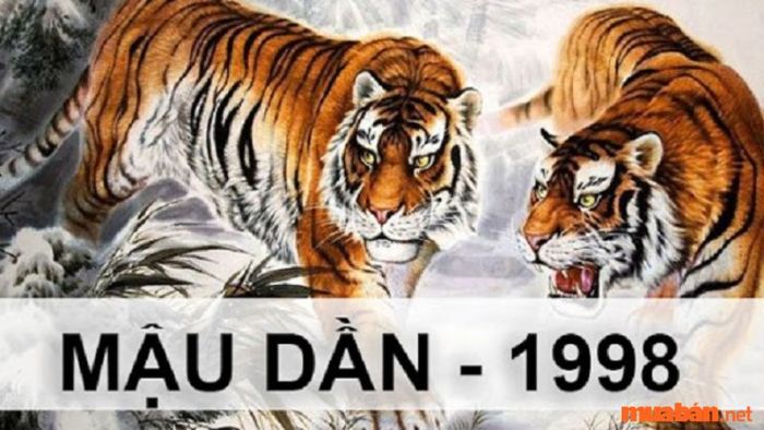 Khám phá các yếu tố liên quan đến tuổi Mậu Dần