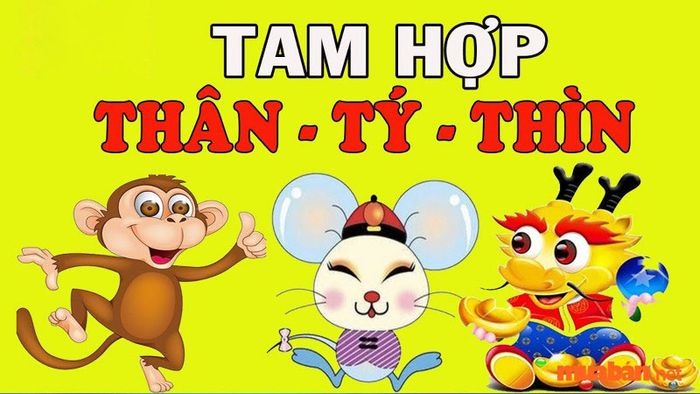 Chọn tuổi xông đất trong bộ tam hợp năm 2024 sẽ giúp gia chủ Giáp Thân đón nhận nhiều vận may và tài lộc.