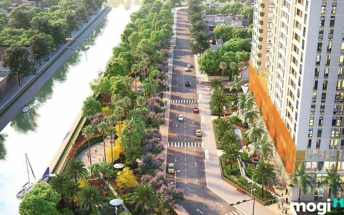 Dự án Aurora Residences tại quận 8
