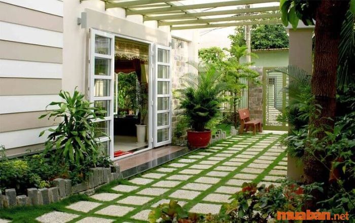 Cây phong thủy không chỉ đẹp mà còn mang lại sức sống mới, góp phần tăng cường sinh khí và tài lộc cho gia chủ.