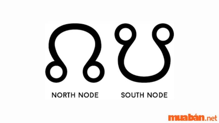Lunar Node trong bản đồ sao là một yếu tố quan trọng cần lưu ý khi nghiên cứu chiêm tinh. Đây là những điểm toán học tượng trưng cho sự liên kết giữa quá khứ và tương lai trong hành trình linh hồn của mỗi cá nhân.