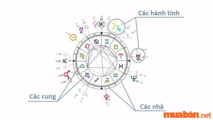 Bản đồ sao là gì?