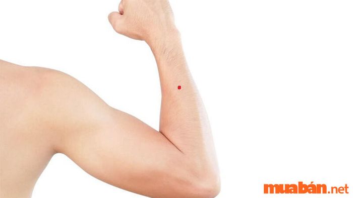 Nốt ruồi ở ngoài cánh tay phải thể hiện một cuộc sống thuận lợi, đầy may mắn và thành công trong công việc. Vị trí này là dấu hiệu của sự thịnh vượng và tài lộc.