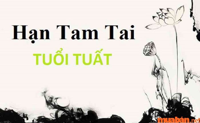 Tam hợp hóa tam tai tuổi Tuất