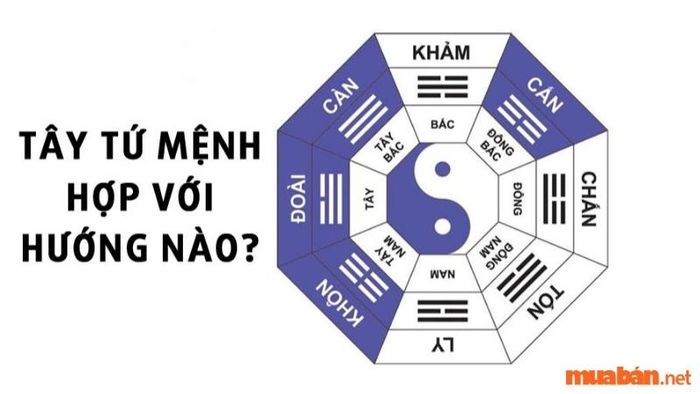 Hướng xây nhà phù hợp cho nam sinh năm 1986
