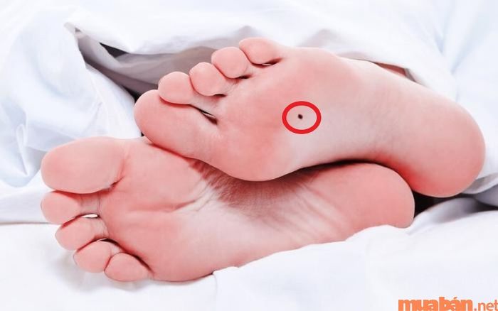 Nốt ruồi ở mu bàn chân mang lại điều gì cho chủ nhân?