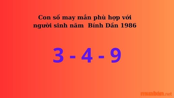 Con số may mắn dành cho người sinh năm 1986