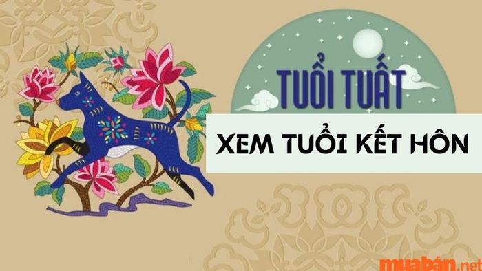 Tam hợp tuổi Tuất bao gồm ba con giáp Dần - Ngọ - Tuất, tạo thành một bộ ba hòa hợp với nhau.