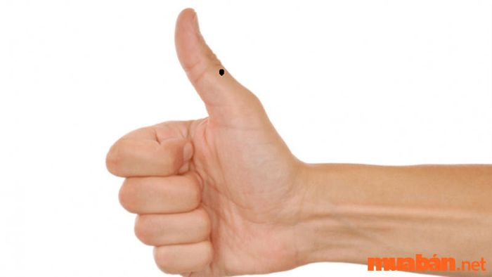 Khám Phá Bí Ẩn Nốt Ruồi Trên Tay Cái
