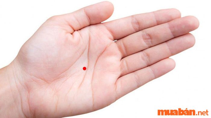 Nốt ruồi son trong lòng bàn tay là dấu hiệu của sự may mắn, tài lộc và cuộc sống bình an, với nhiều cơ hội thành công trong tay.