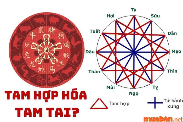 Tam hợp hóa tam tai là gì?