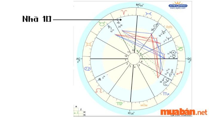 Nhà 10 trong bản đồ sao mang đến cái nhìn về con đường sự nghiệp, cách bạn xây dựng hình ảnh cá nhân và mức độ ảnh hưởng của bạn đối với xã hội.