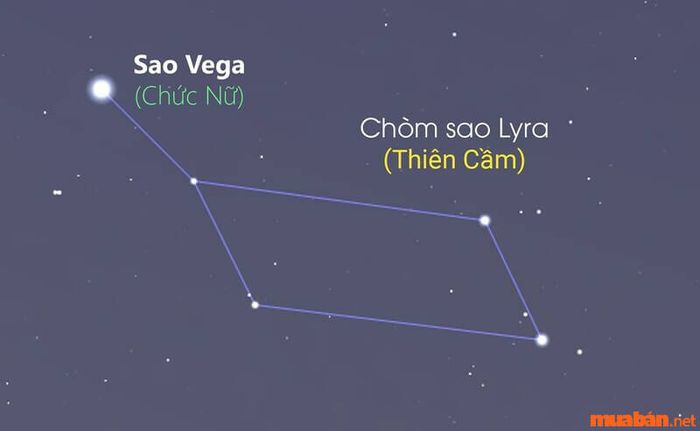 sao Ngưu Lang Chức Nữ