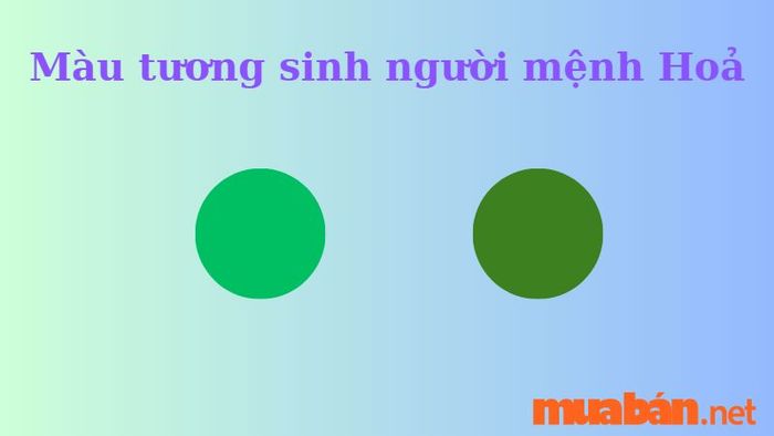 Màu sắc tương sinh cho người sinh năm 1986
