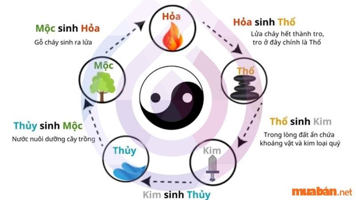 Quy luật tương sinh trong ngũ hành là gì?