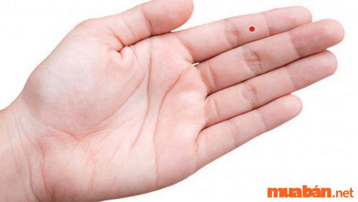 Khám Phá Ý Nghĩa Nốt Ruồi Ở Tay Trong Tướng Số Năm 2023