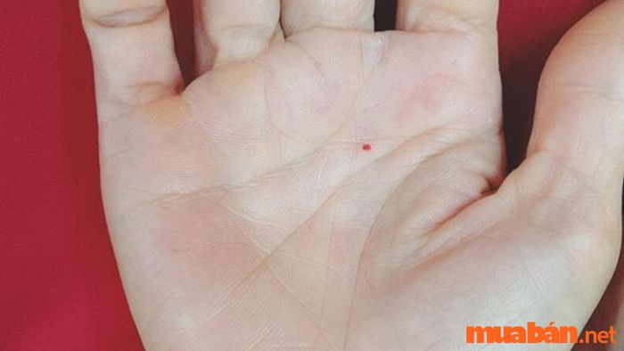 Nốt ruồi son ở tay phải mang đến cho người sở hữu nhiều may mắn, giúp họ thành công trong cả công việc lẫn đời sống cá nhân.