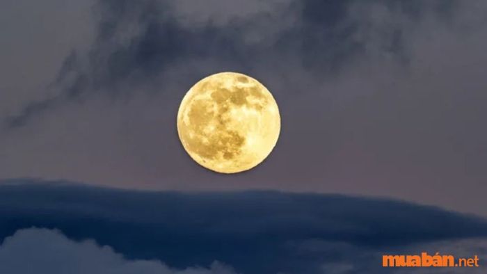 Ý nghĩa của Mặt Trăng trong bản đồ sao
