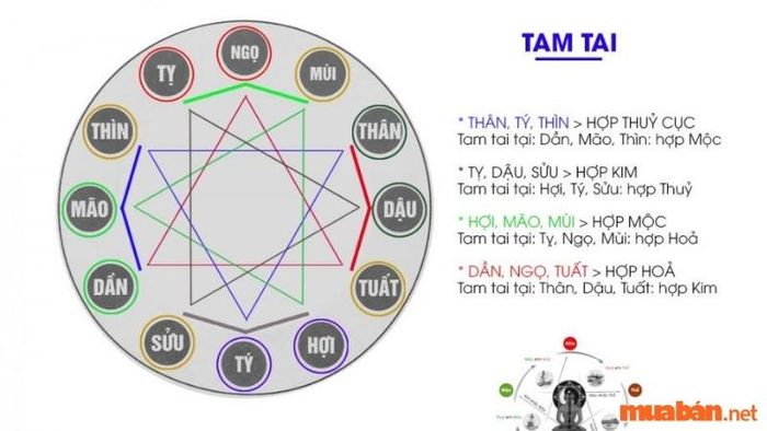 Cách tính hạn tam tai