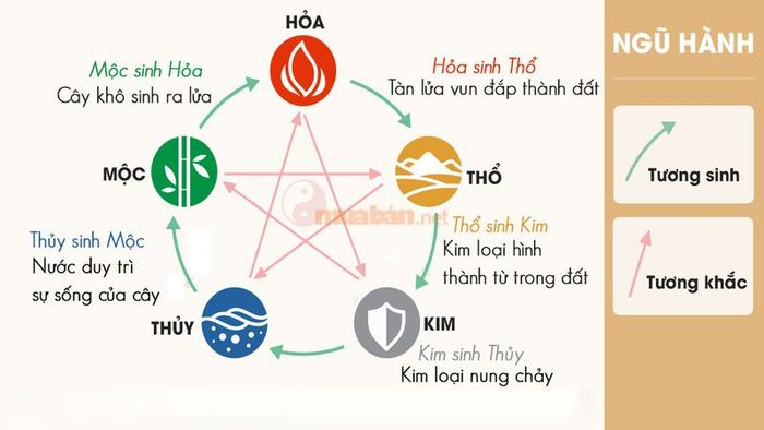 Nam mạng Tân Mão 2011 có ngũ hành tương sinh với năm Ất Tỵ – Hình ảnh: Sưu tầm