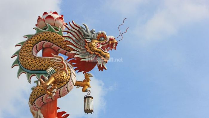 Khám phá chi tiết tử vi nam tuổi Nhâm Thìn 1952 năm 2025