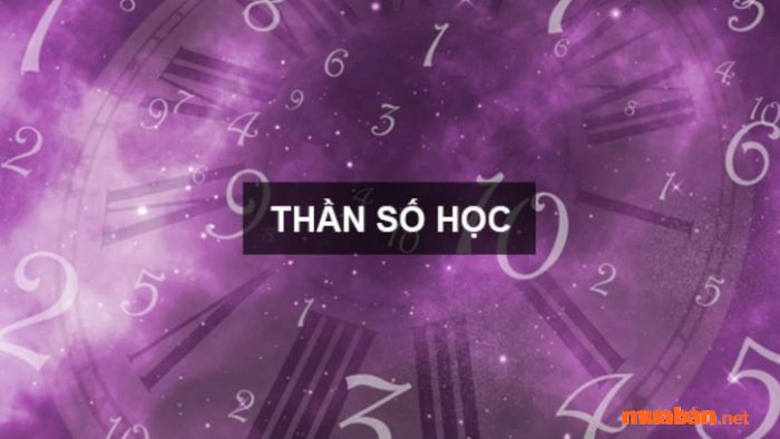 Số chủ đạo 9 mang lại ý nghĩa rất tích cực, giúp người sở hữu phát triển toàn diện và đạt được những thành tựu lớn trong cuộc sống.