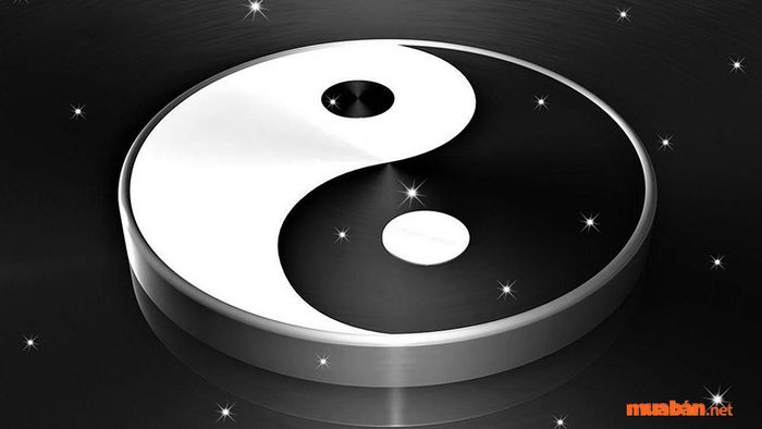 Số 45 đại diện cho sự hòa hợp giữa âm và dương.