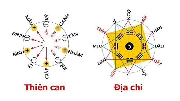 Với sự trợ giúp từ Thiên Can, các yếu tố không may do ngũ hành tương khắc sẽ được giảm nhẹ.