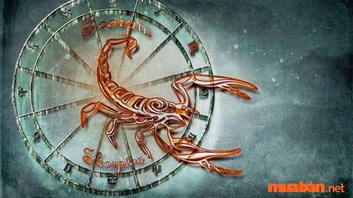 Cung mọc Bảo Bình và Cung Nhà 10 Thần Nông