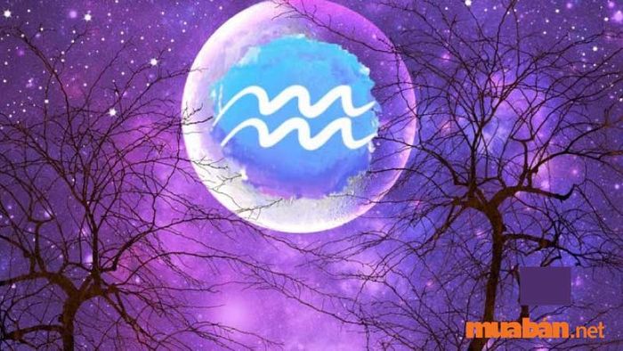 Cung mọc Bảo Bình kết hợp với Mặt Trời Song Tử