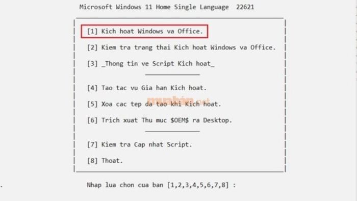 Chọn phím số 1 để kích hoạt phần mềm.