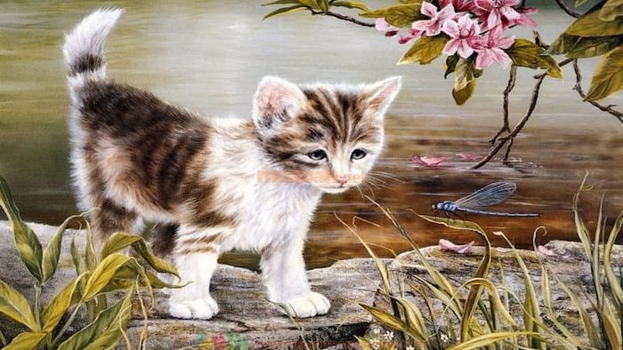 Bản mệnh cần chú trọng nhiều hơn đến sức khỏe cả về thể chất lẫn tinh thần – Hình ảnh: Sưu tầm