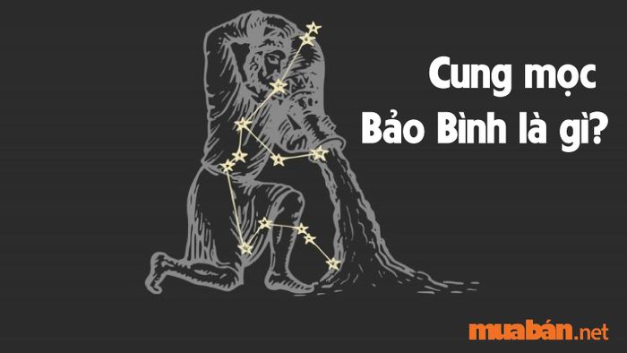 Cung mọc Bảo Bình có ý nghĩa gì?