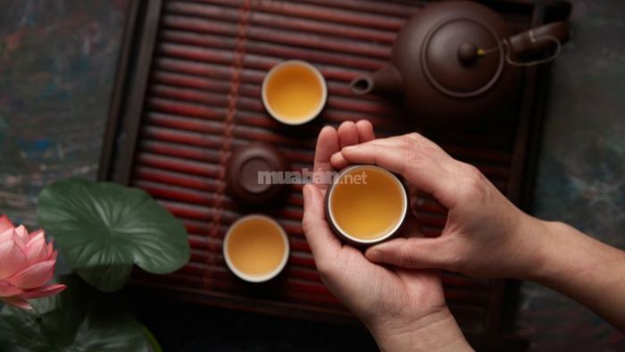 Sử dụng làm trà thảo dược
