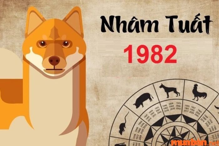 Trong năm 2024, hạn Địa Võng sẽ gây ảnh hưởng xấu đến tuổi Tuất 1982, mang đến nhiều khó khăn và thử thách trong cuộc sống.