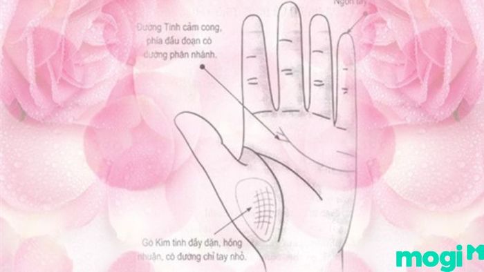 gò kim tinh