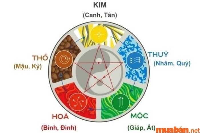 Thiên can Nhâm của người sinh năm 1982 kết hợp với thiên can Giáp của năm 2024 tạo nên một mối quan hệ Bình Hòa.