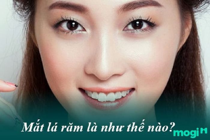 Vậy tướng mắt lá răm có ý nghĩa như thế nào?